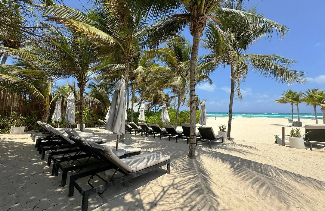 https://thereefplayacar.therivieramayahotels.com/data/Images/1080x700w/16065/1606545/1606545250/image-playa-del-carmen-the-reef-playacar-hotel-13.JPEG